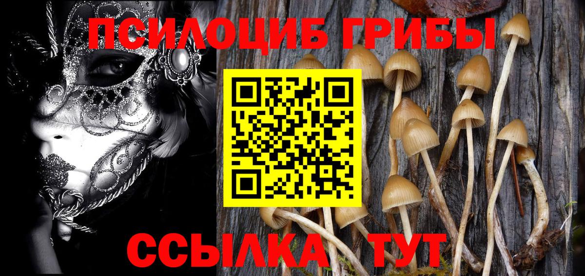 Псилоцибиновые грибы GOLDEN TEACHER  где купить наркоту  Александров  Псилоцибиновые грибы Cubensis  Вход с VPN 
