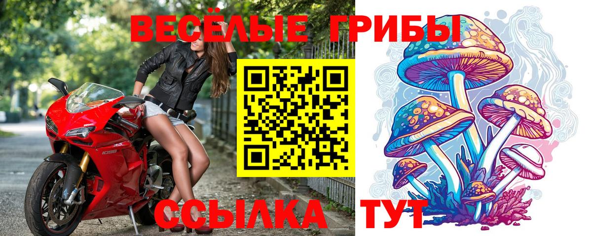 Псилоцибиновые грибы MAGIC MUSHROOMS Александров